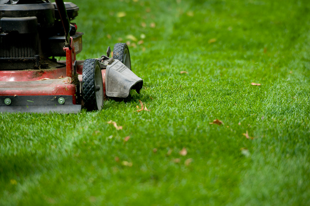 Yard Care